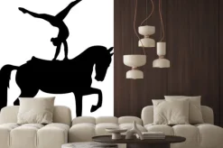 Naklejka: Sylwetka gimnastyczki na koniu podczas woltyżerki