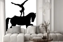 Naklejka: Sylwetka gimnastyczki na koniu podczas woltyżerki