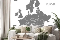 Naklejka: Szare kontynenty europy
