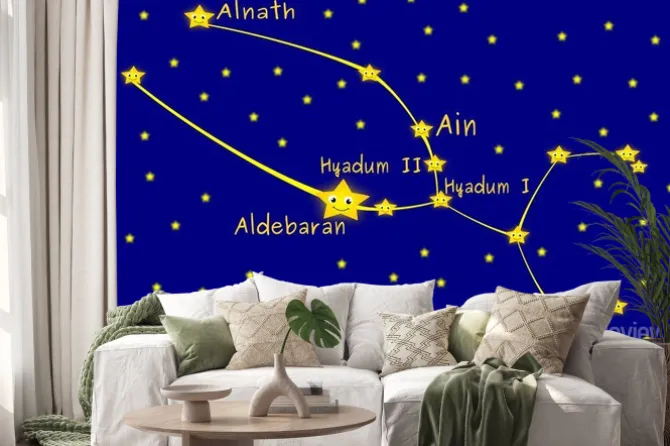 Naklejka: Taurus konstelacja