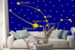 Naklejka: Taurus konstelacja