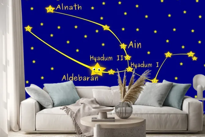 Naklejka: Taurus konstelacja