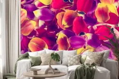 Naklejka: Tło płatków tulipany