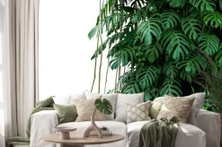 Naklejka: Tropikalne liany i liście monstery w dżungli