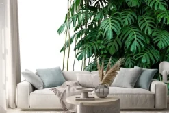 Naklejka: Tropikalne liany i liście monstery w dżungli