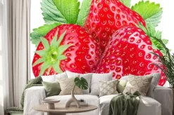 Naklejka: Truskawki na białym tle.