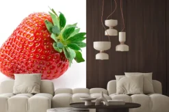 Naklejka: Truskawki samodzielnie na białym tle