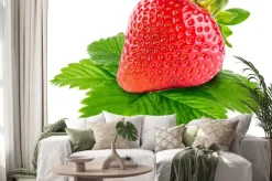 Naklejka: Truskawki samodzielnie na białym tle