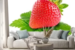 Naklejka: Truskawki samodzielnie na białym tle