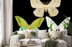 Naklejka: Trzy motyle odizolowane na czarno