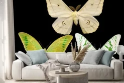 Naklejka: Trzy motyle odizolowane na czarno