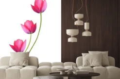 Naklejka: Trzy różowe tulipany na białym tle