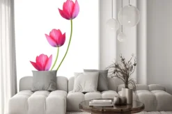 Naklejka: Trzy różowe tulipany na białym tle