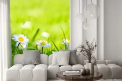 Naklejka: Trzy stokrotki na łące