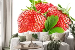 Naklejka: Trzy truskawki na białym tle