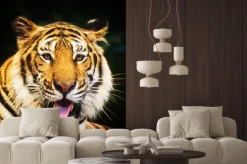 Naklejka: Tygrys portret tygrys bengalski.