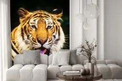 Naklejka: Tygrys portret tygrys bengalski.