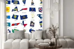 Naklejka: Usa state collection, maps and flags