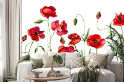 Naklejka: Watercolor poppies and buds on white background