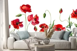 Naklejka: Watercolor poppies and buds on white background