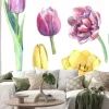 Naklejka: Watercolor set of yellow, violet and pink tulips.