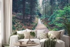 Naklejka: Wędrówki ścieżką wewnątrz krajobrazu leśnego