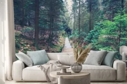 Naklejka: Wędrówki ścieżką wewnątrz krajobrazu leśnego