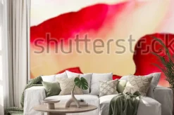 Naklejka: Web banner piękne makro czerwony żółty kwiat róży