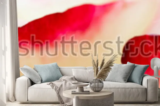 Naklejka: Web banner piękne makro czerwony żółty kwiat róży