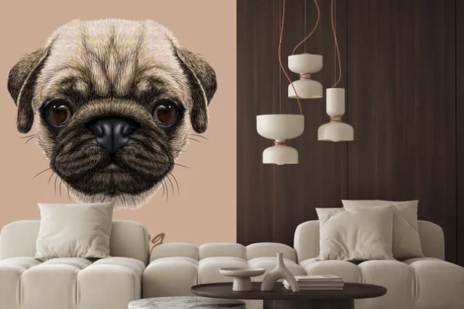 Naklejka: Wektor zdjęcie portret pug pies.