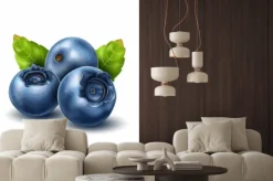 Naklejka: Wektorowa realistyczna czarna jagoda z 3d liśćmi ustawiającymi