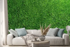 Naklejka: Widok na zieloną trawę z góry