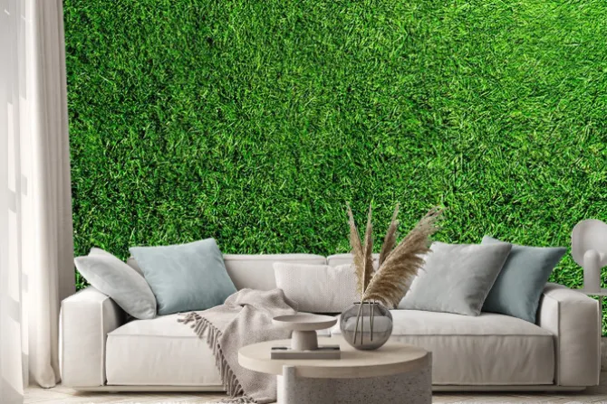 Naklejka: Widok na zieloną trawę z góry