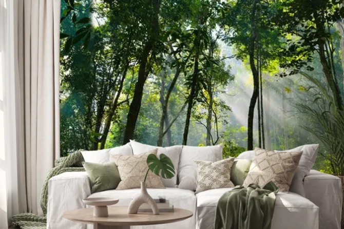 Naklejka: Widok z dołu na korony drzew w słonecznym lesie