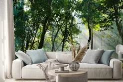 Naklejka: Widok z dołu na korony drzew w słonecznym lesie