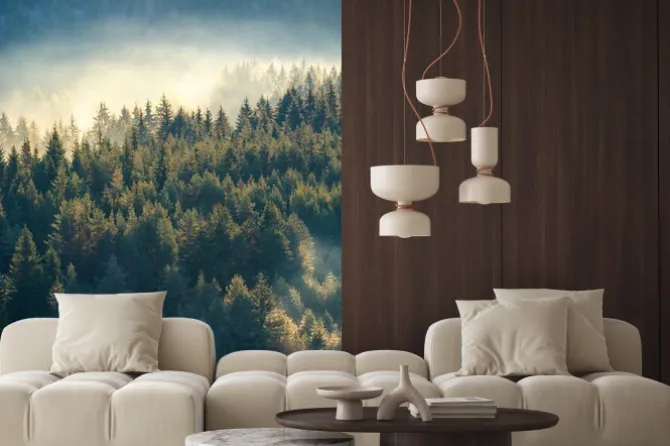 Naklejka: Widok z góry na las we mgle