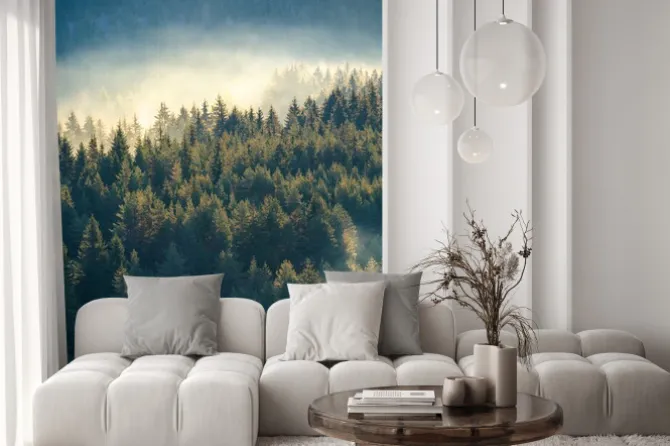 Naklejka: Widok z góry na las we mgle