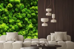 Naklejka: Widok z góry na zielony las i koronę drzew