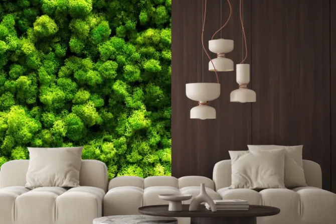 Naklejka: Widok z góry na zielony las i koronę drzew