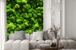 Naklejka: Widok z góry na zielony las i koronę drzew