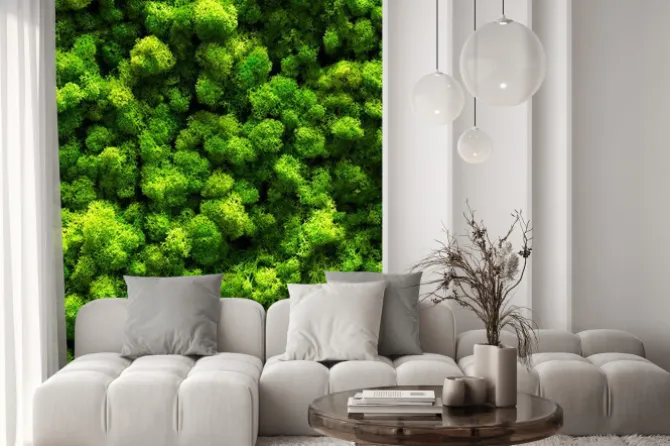 Naklejka: Widok z góry na zielony las i koronę drzew