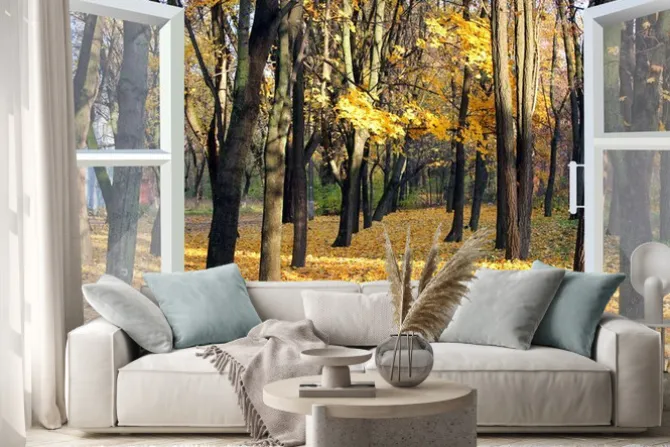 Naklejka: Widok z okna na jesienny las