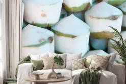 Naklejka: Świeże kokosy na rynku