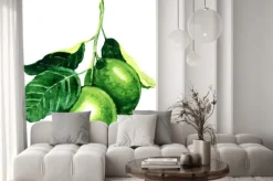 Naklejka: Świeże limonki na oddział izolowane, akwarela ilustracji