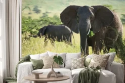 Naklejka: Wielki słoń afrykański w parku narodowym serengeti