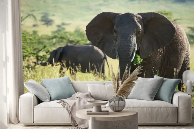 Naklejka: Wielki słoń afrykański w parku narodowym serengeti