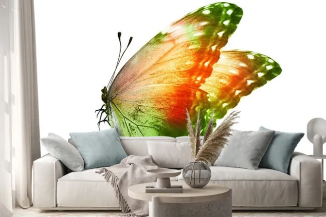 Naklejka: Wielobarwny motyl