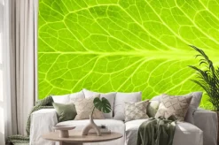 Naklejka: Świeżych zielonych liści sałaty / super makro