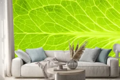 Naklejka: Świeżych zielonych liści sałaty / super makro