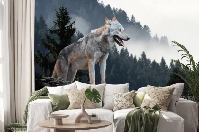 Naklejka: Wilk obserwujący las z wysokiego punktu